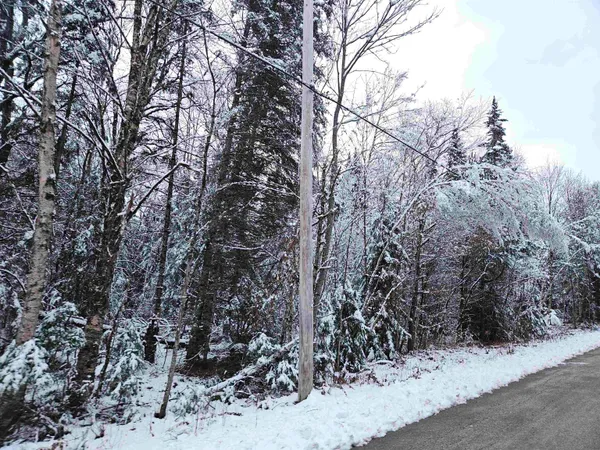 $129,900 | Lot 15 Hadley Road, Sugar Hill, NH 03586