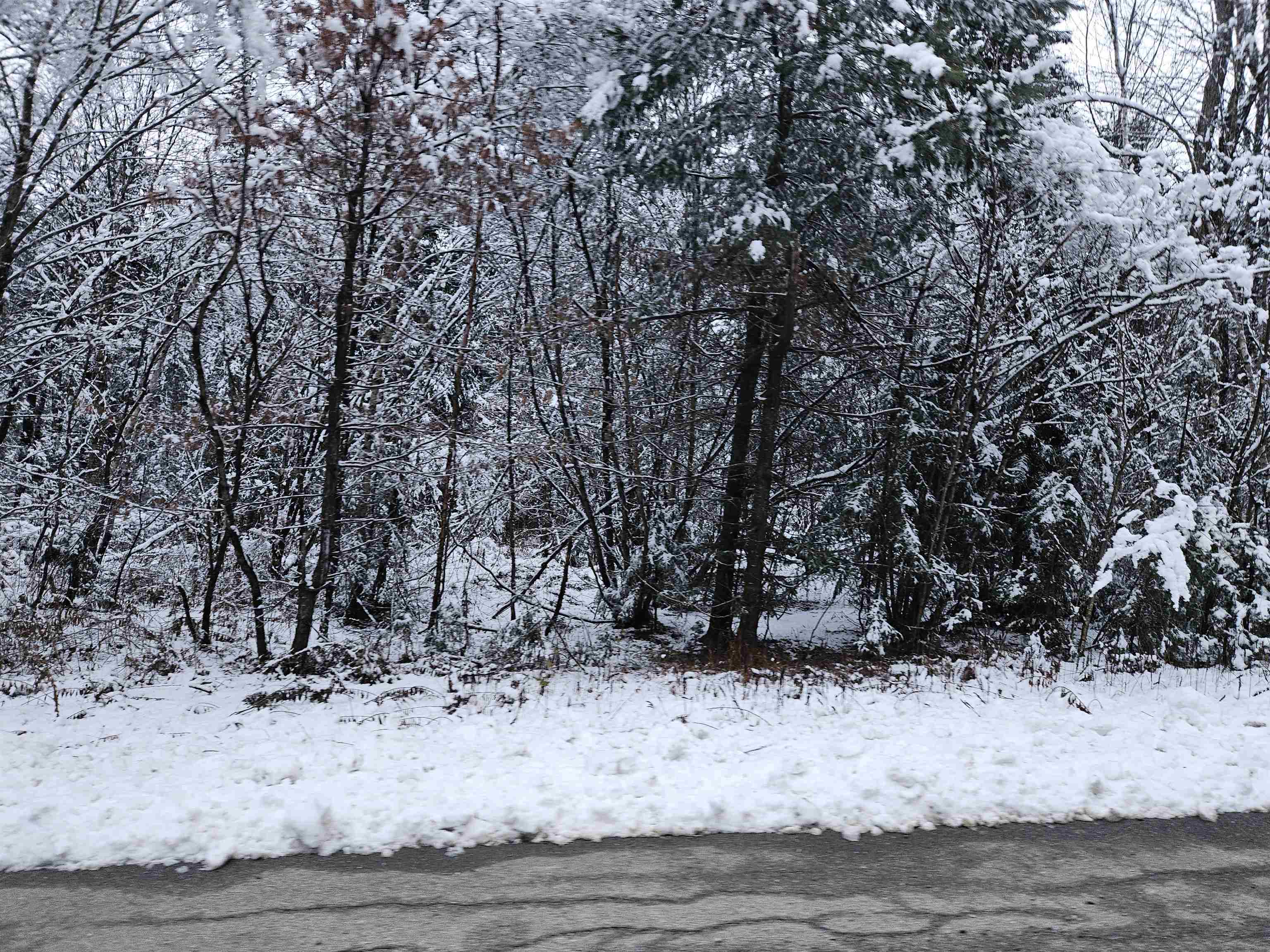 Lot 15 Hadley Road Sugar Hill, NH 03586 - Photo 4 of 29