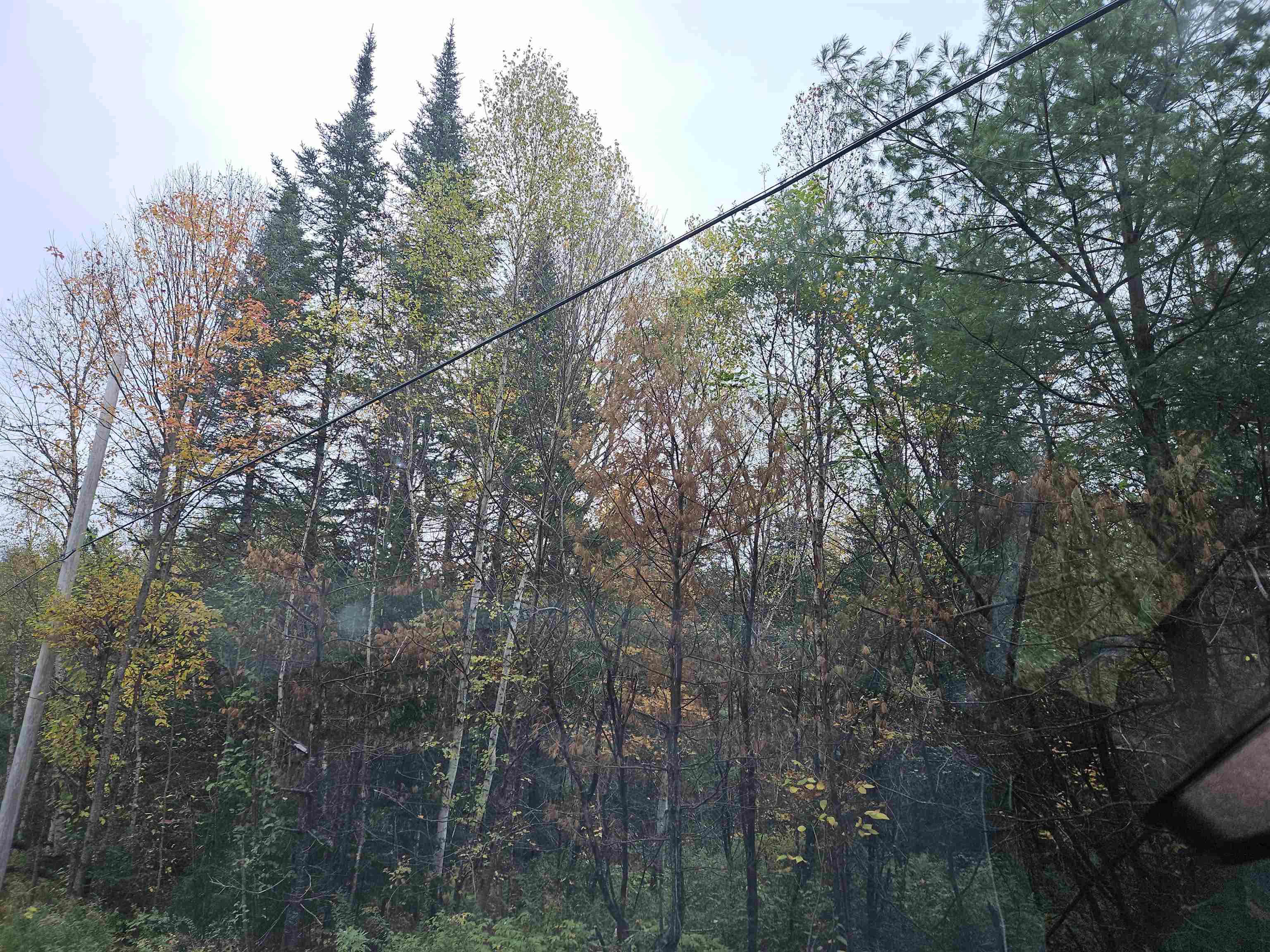 Lot 15 Hadley Road Sugar Hill, NH 03586 - Photo 4 of 22