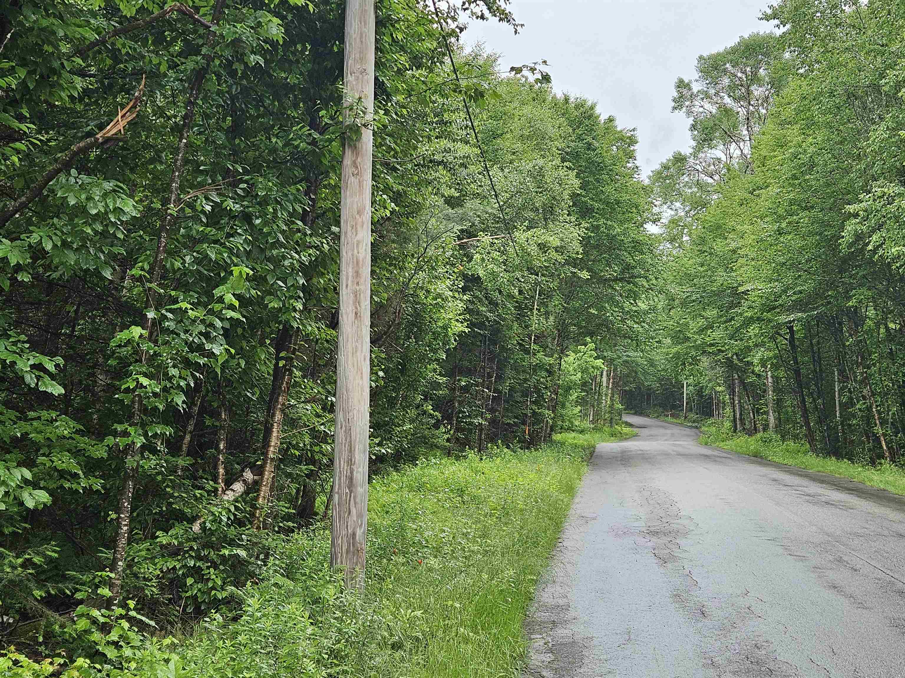 Lot 15 Hadley Road Sugar Hill, NH 03586 - Photo 4 of 29
