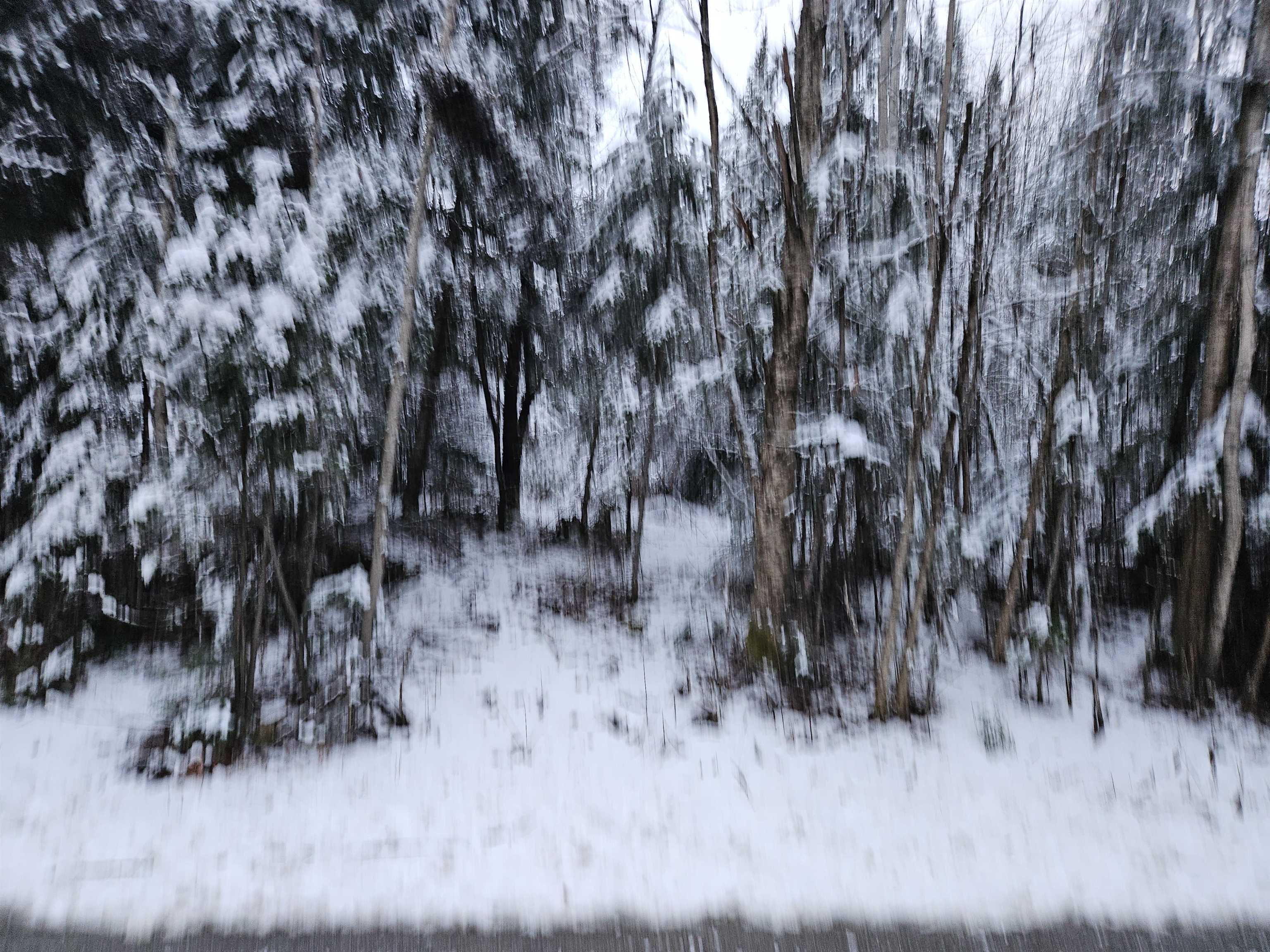 Lot 15 Hadley Road Sugar Hill, NH 03586 - Photo 5 of 29