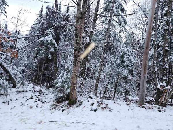 $129,900 | Lot 15 Hadley Road, Sugar Hill, NH 03586
