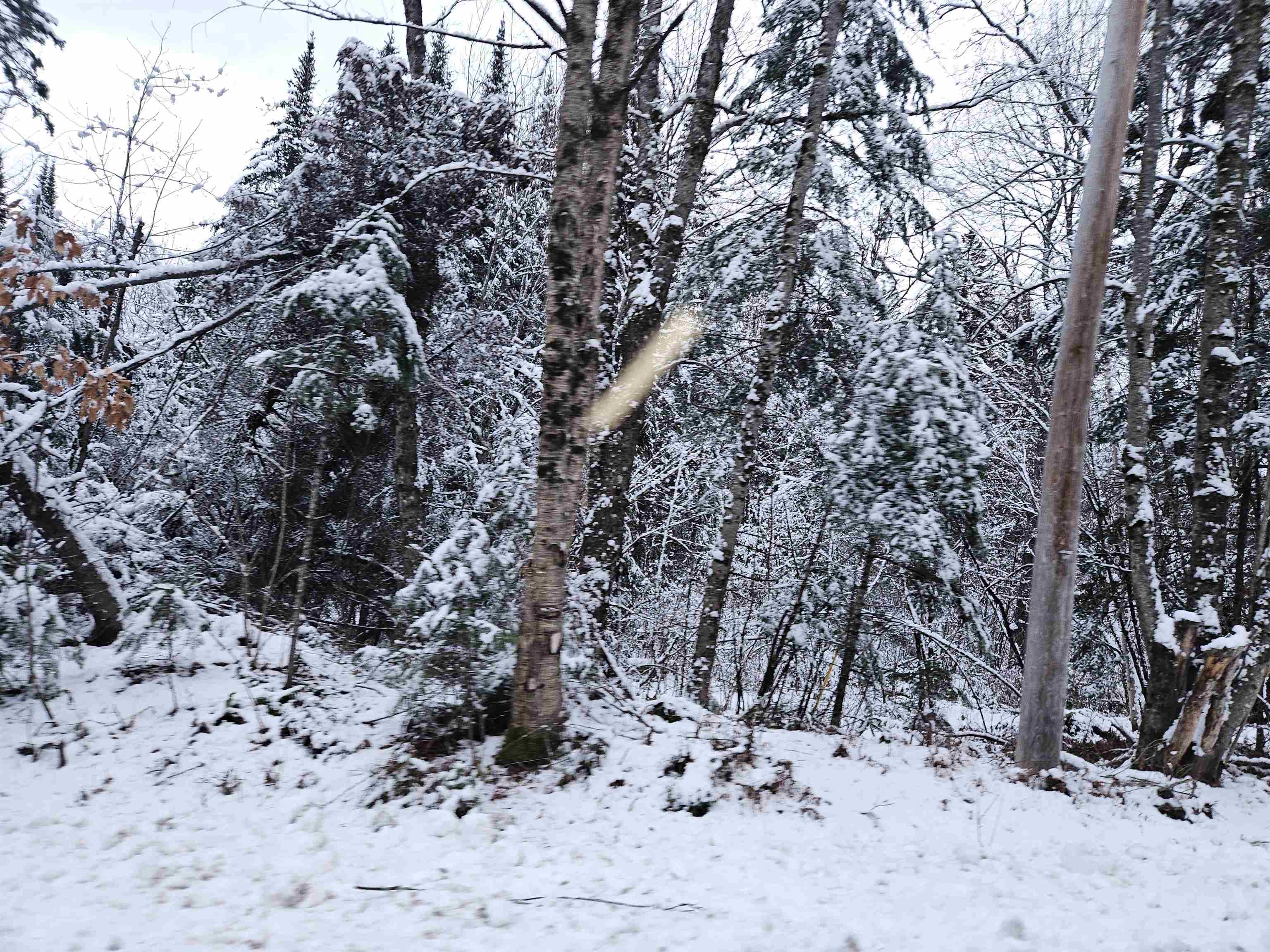 Lot 15 Hadley Road Sugar Hill, NH 03586 - Photo 6 of 29