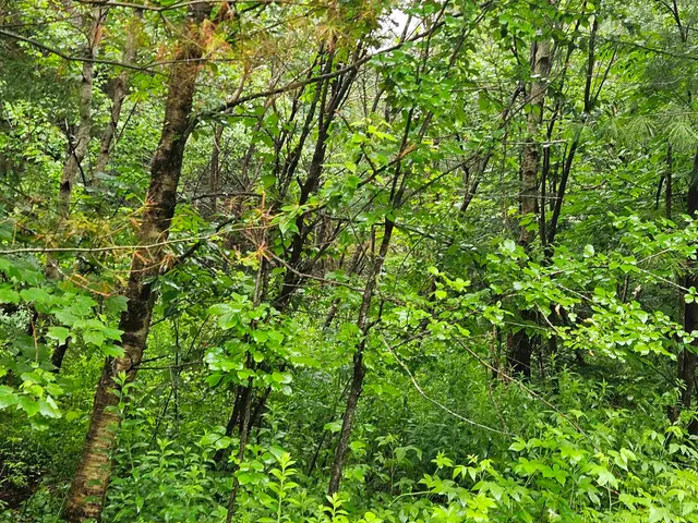 $129,900 | Lot 15 Hadley Road, Sugar Hill, NH 03586