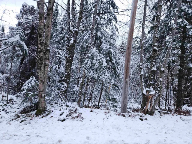 $129,900 | Lot 15 Hadley Road, Sugar Hill, NH 03586