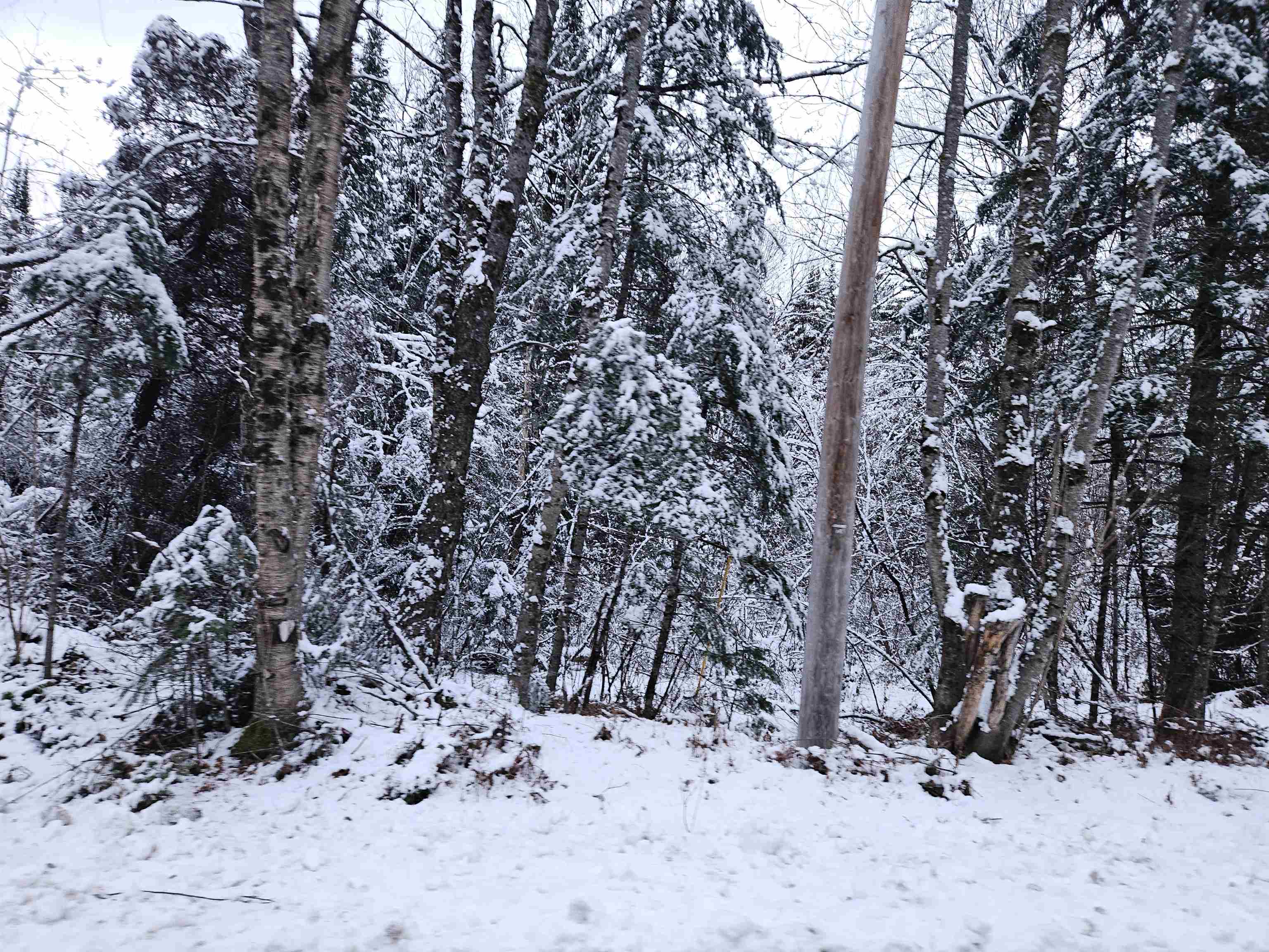 Lot 15 Hadley Road Sugar Hill, NH 03586 - Photo 7 of 29