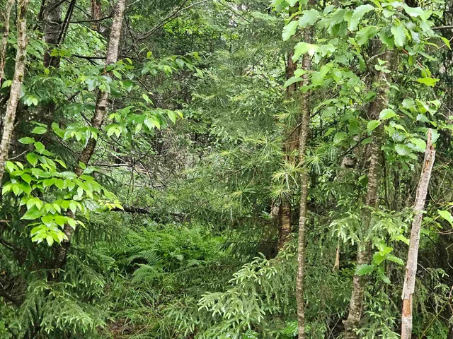 $129,900 | Lot 15 Hadley Road, Sugar Hill, NH 03586