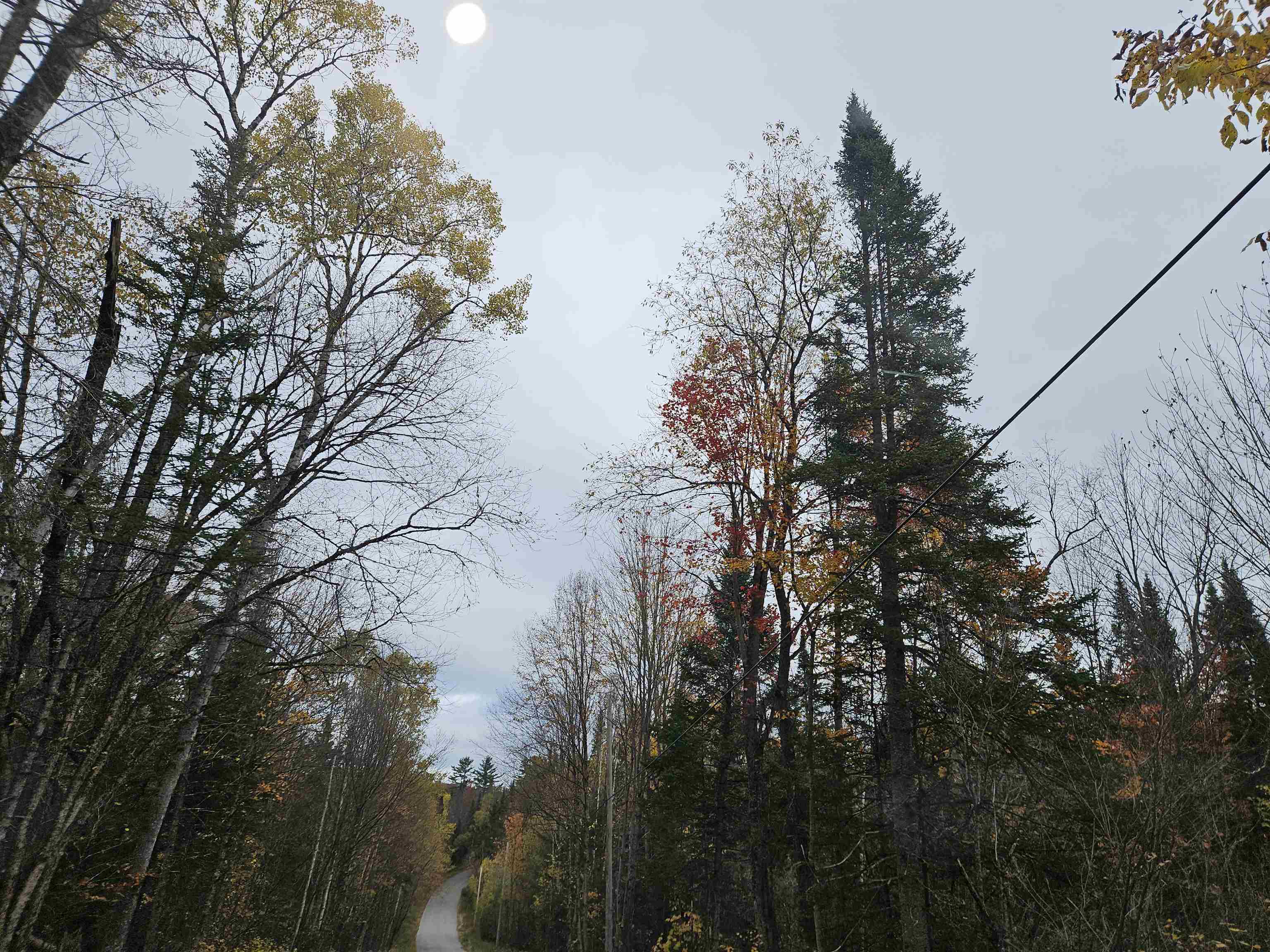 Lot 15 Hadley Road Sugar Hill, NH 03586 - Photo 10 of 29