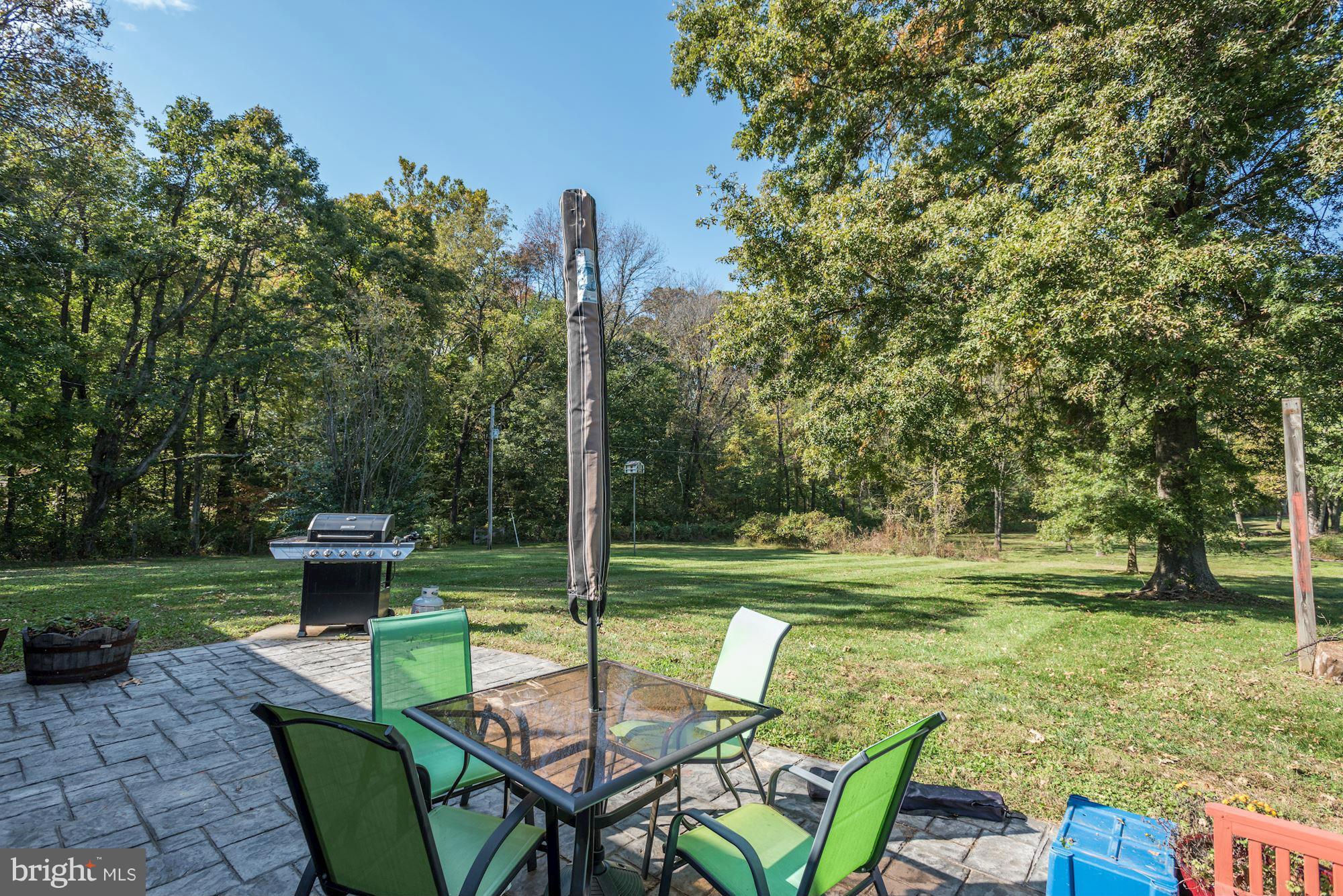 16869 Ivandale Road Hamilton, VA 20158 - Photo 17 of 21 a view of a backyard with table and chairs potted plants and a palm tree