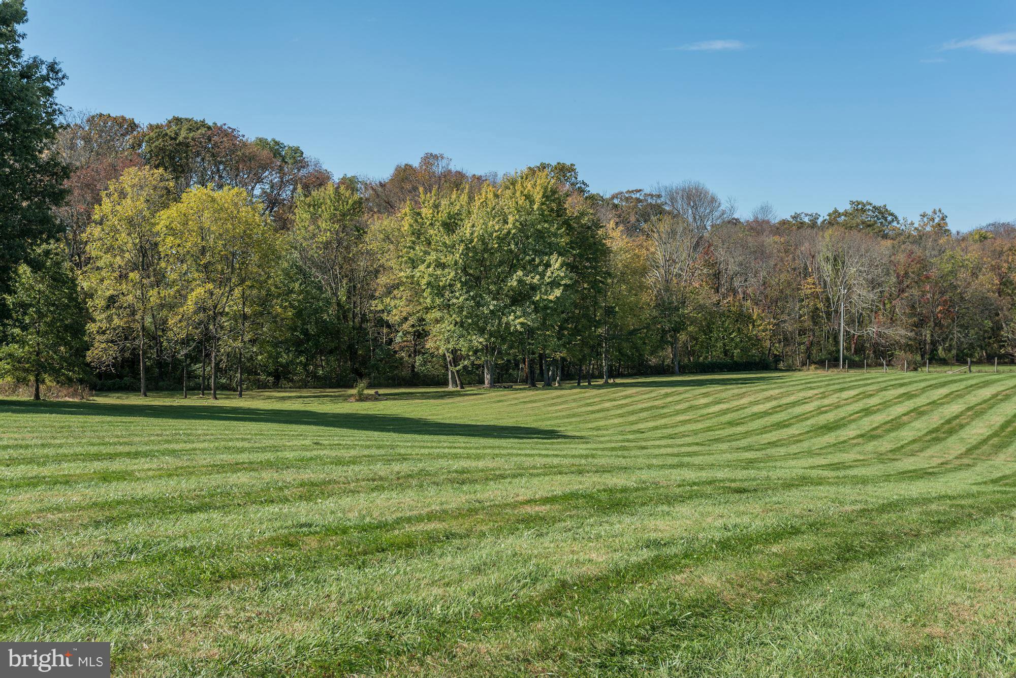 16869 Ivandale Road Hamilton, VA 20158 - Photo 21 of 21 a view of a field and trees in the background