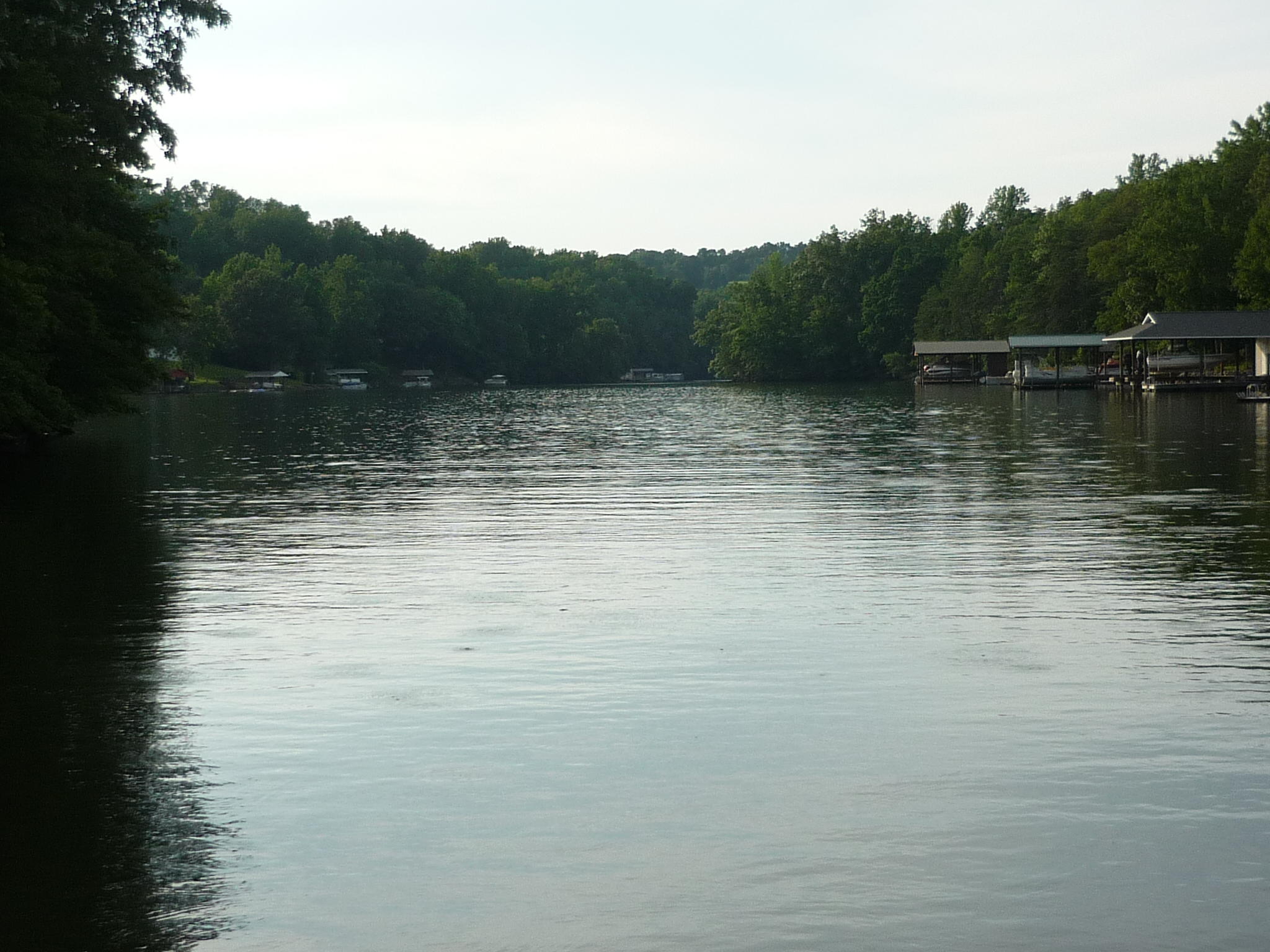 365 Major Holland Road Union Hall, VA 24176 - Photo 14 of 19 View out of cove