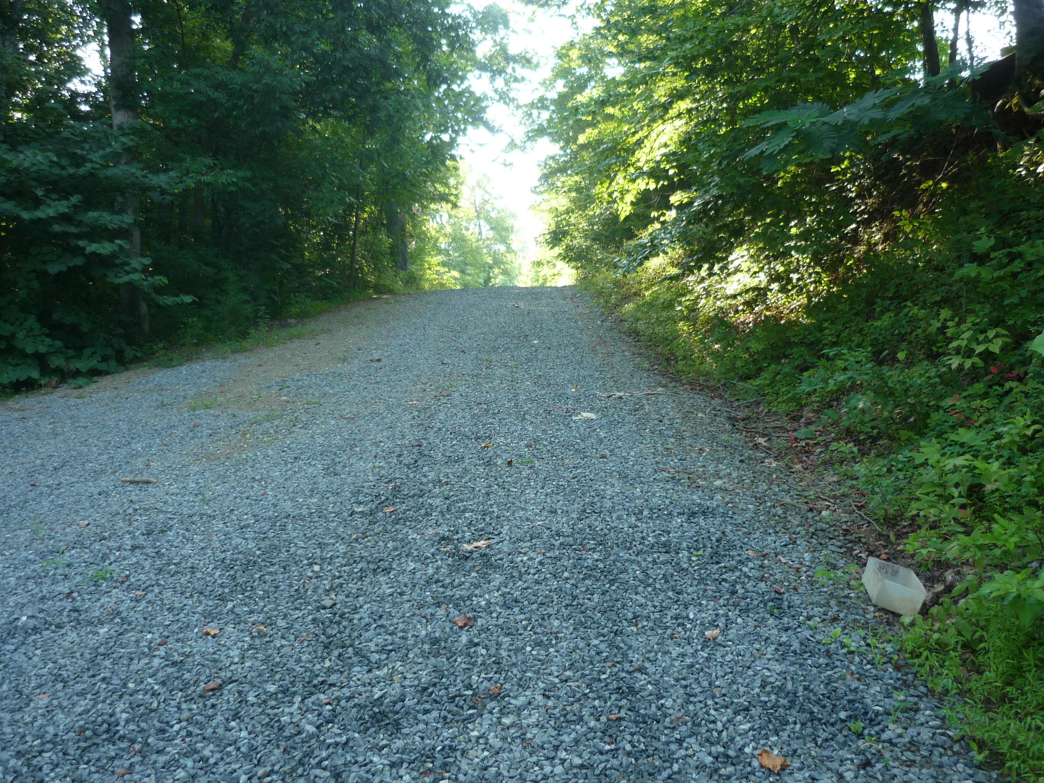 365 Major Holland Road Union Hall, VA 24176 - Photo 16 of 19 Driveway