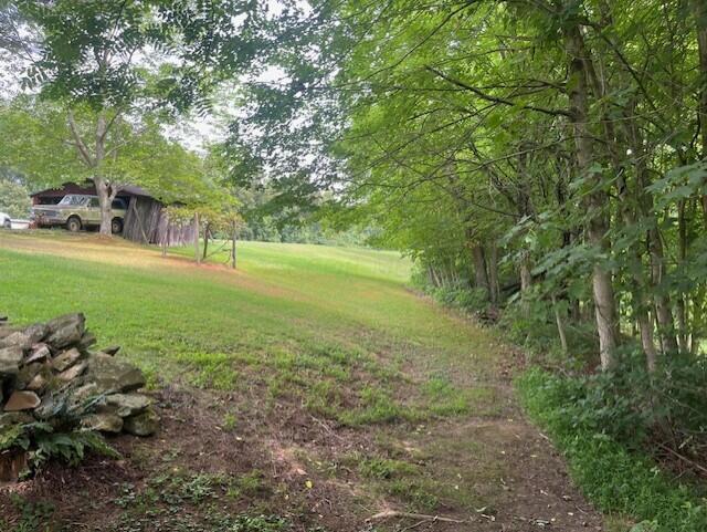 23875 Mathias Road South Bloomingville, OH 43152 - Photo 4 of 89 thumbnail_IMG_8231