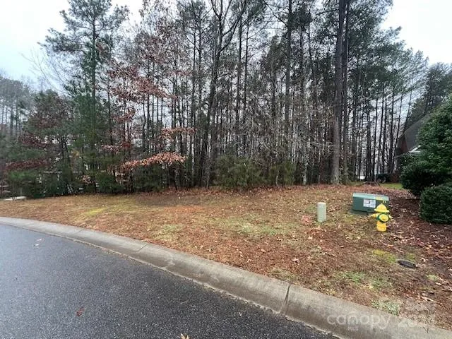 a view of backyard with tree