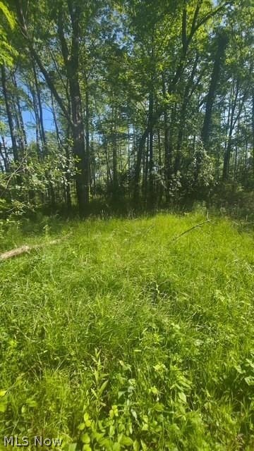 6521 Vrooman Road Painesville, OH 44077 - Photo 3 of 8