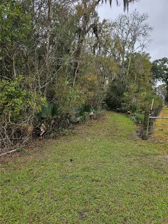 a view of a yard with a tree