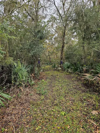 a view of outdoor space and a yard