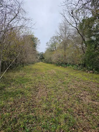 a view of a field with an trees