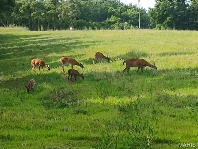 $489,900 | 2367 Degerlia Hollow Road, Hardin, IL 62047