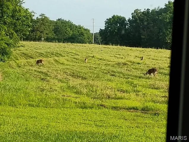 $489,900 | 2367 Degerlia Hollow Road, Hardin, IL 62047