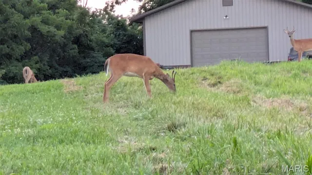 $489,900 | 2367 Degerlia Hollow Road, Hardin, IL 62047