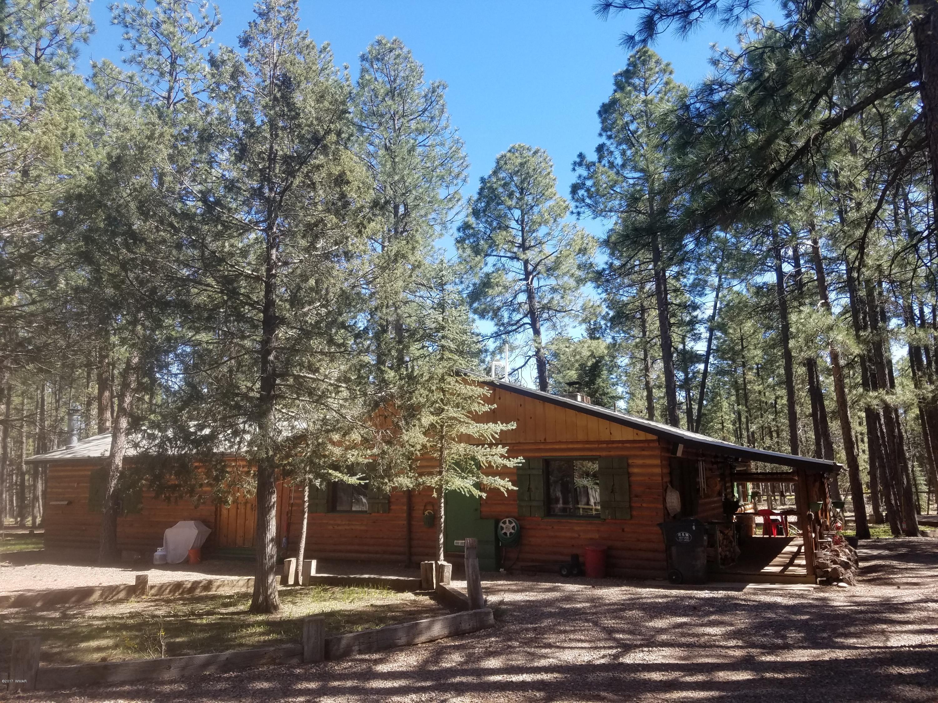 1401 West Rim Road Pinetop, AZ 85935 - Photo 18 of 44