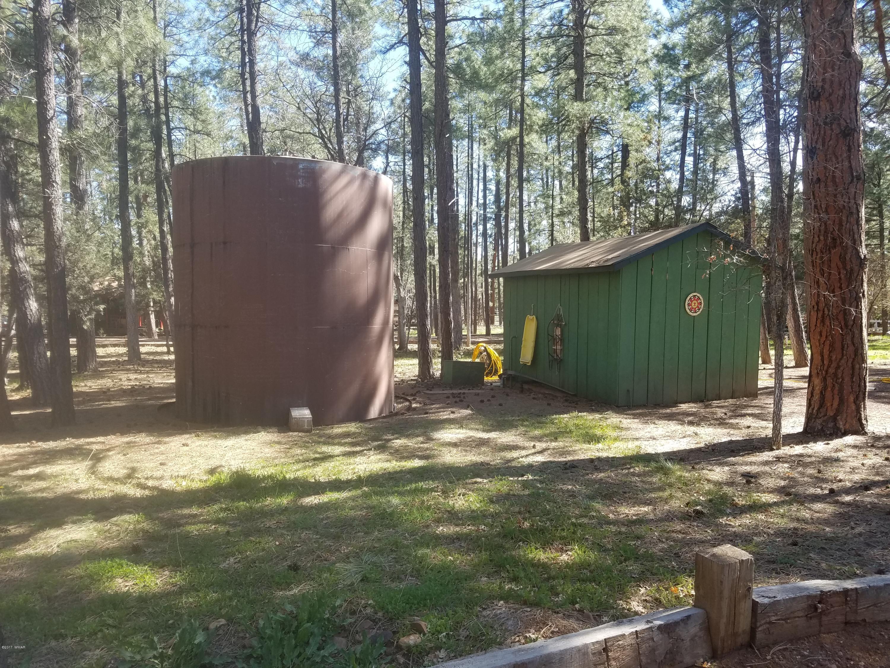 1401 West Rim Road Pinetop, AZ 85935 - Photo 23 of 44