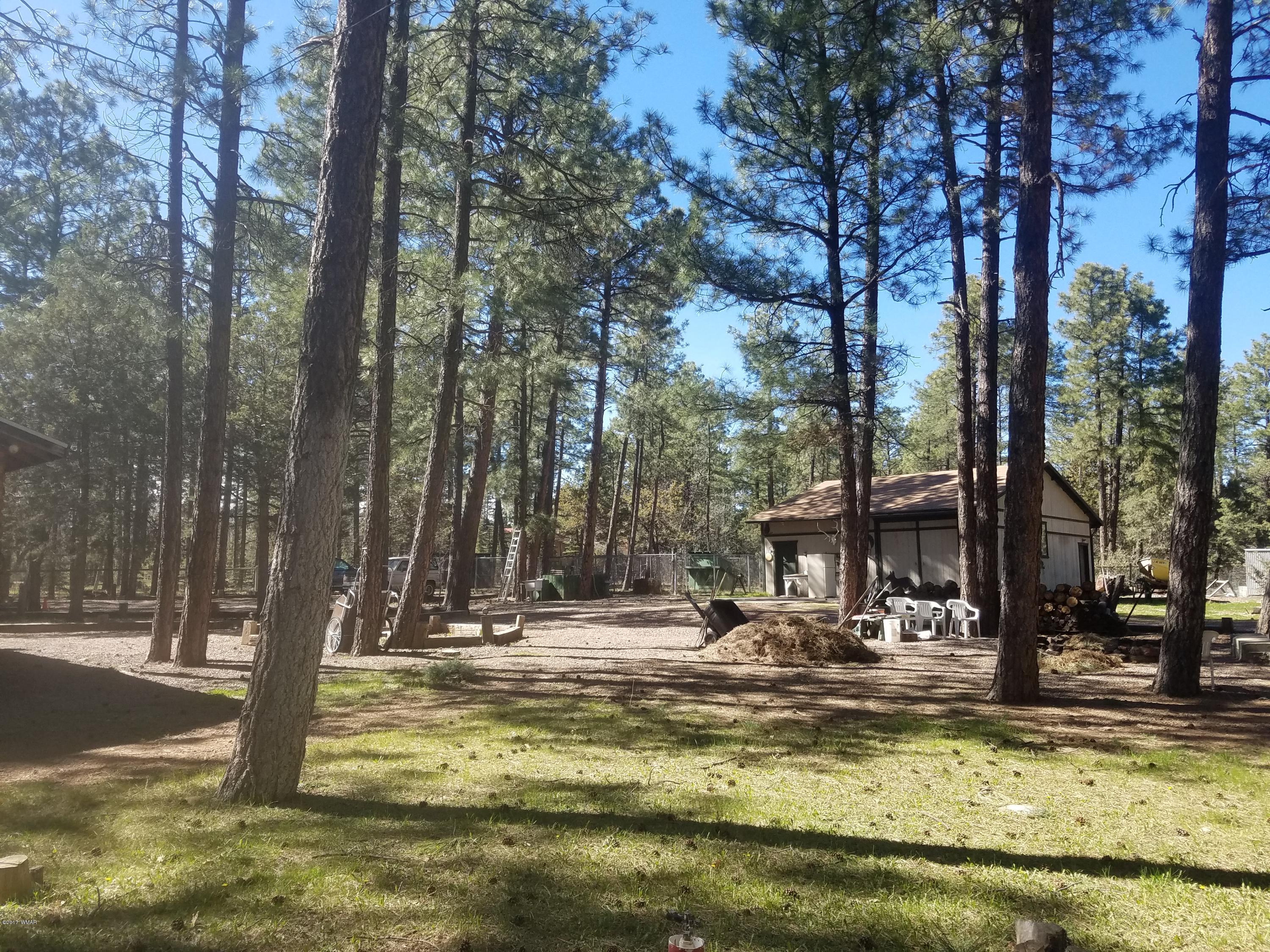 1401 West Rim Road Pinetop, AZ 85935 - Photo 40 of 44