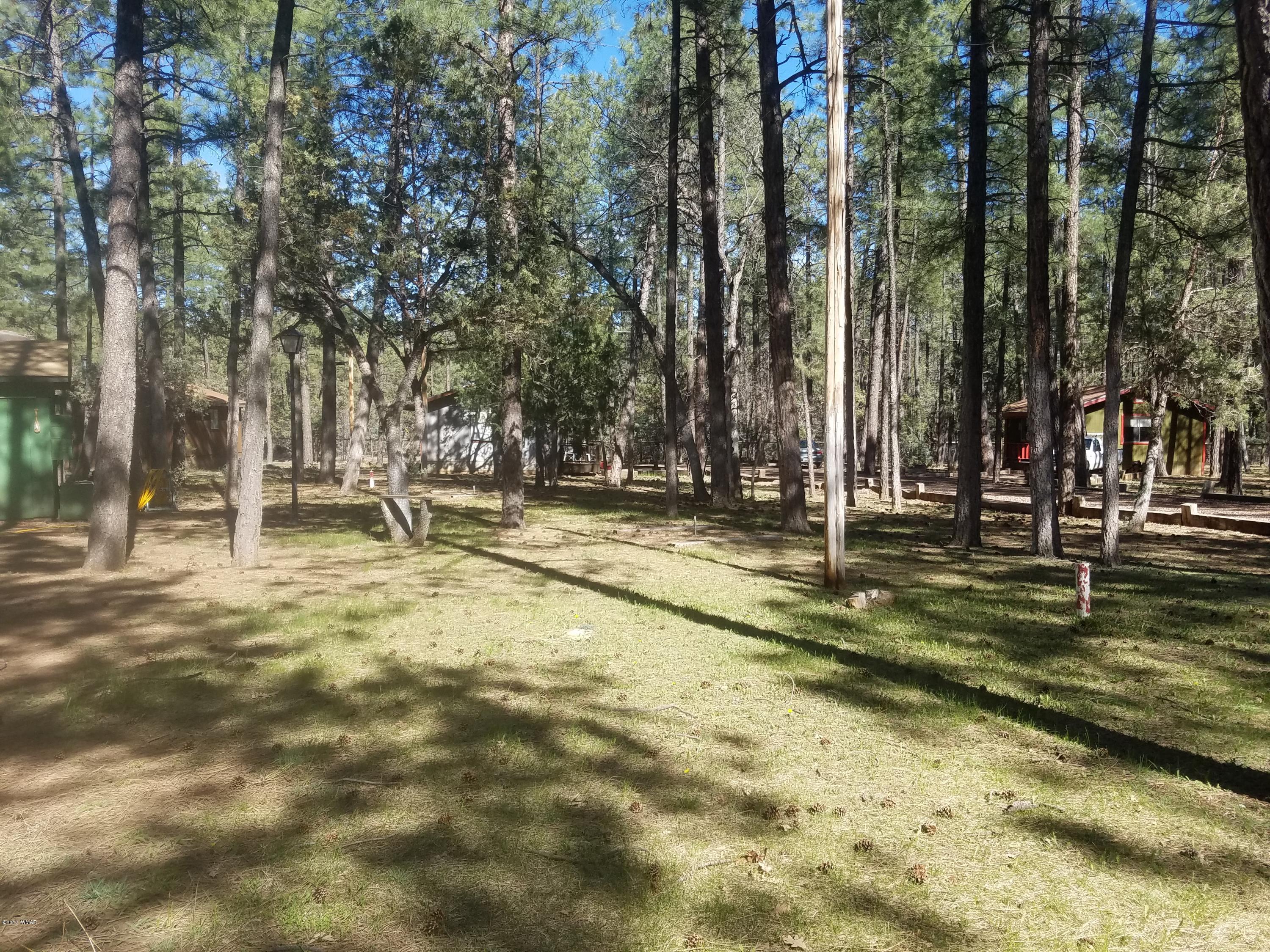 1401 West Rim Road Pinetop, AZ 85935 - Photo 41 of 44