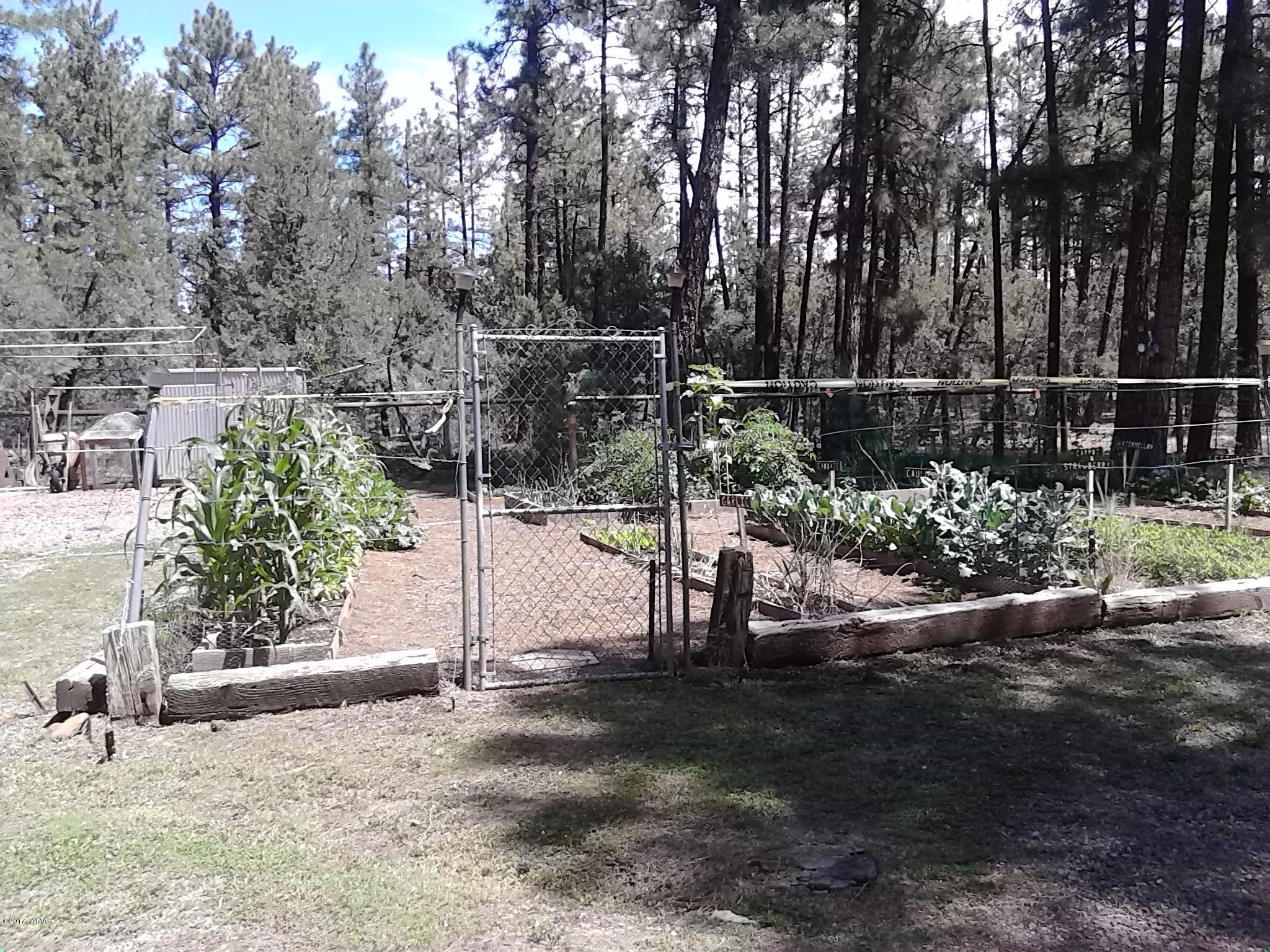 1401 West Rim Road Pinetop, AZ 85935 - Photo 42 of 44