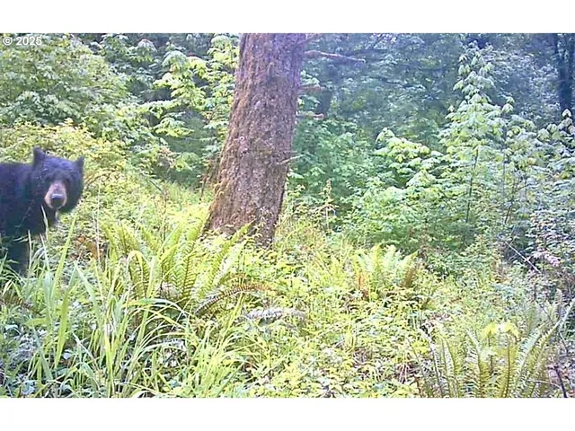 a view of an outdoor space and a lake view