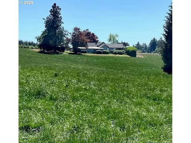 a view of a field of grass and trees