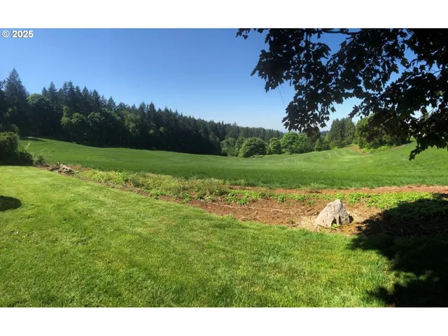 a view of a garden with a lake