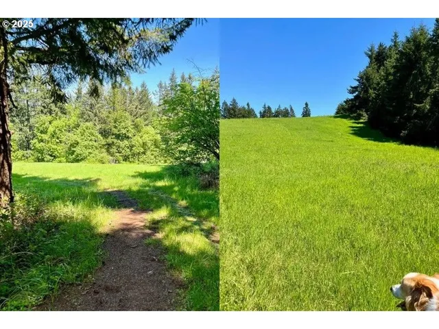 a view of yard with swimming pool and green space
