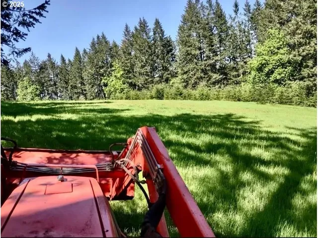 a view of a yard with plants and tree