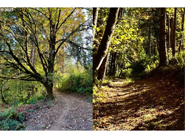 a view of an outdoor space