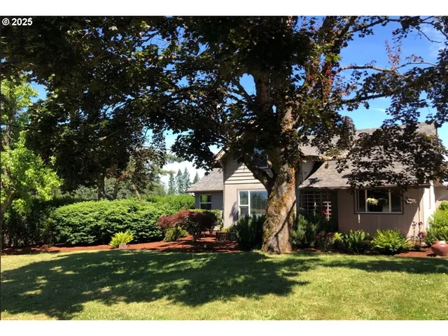 a couple of flower plants in front of building
