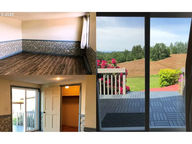 a view of backyard from window