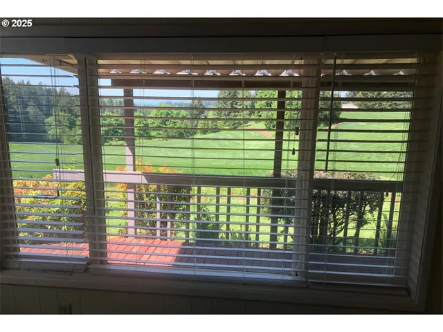 a view of a garden with a tree