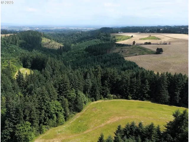 a view of a city and mountains in a room