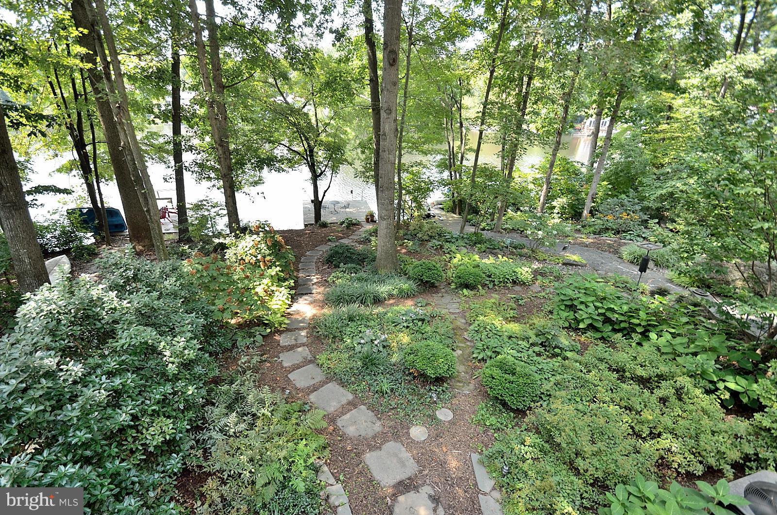 1602 Waters Edge Lane Reston, VA 20190 - Photo 28 of 28 a view of a forest with trees in the background