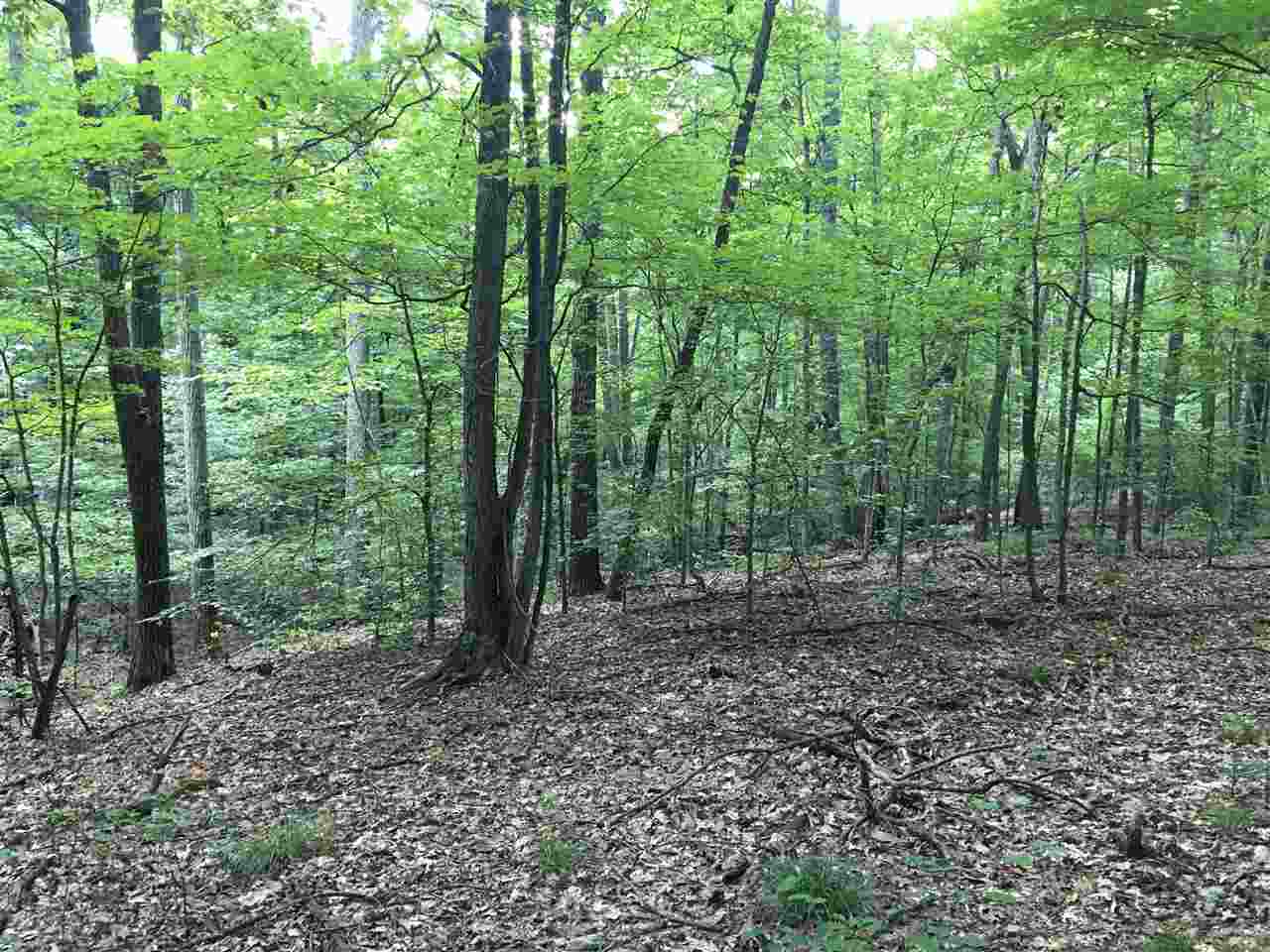 9783 East Elkins Road Nashville, IN 47448 - Photo 14 of 22 Gallery Image 14