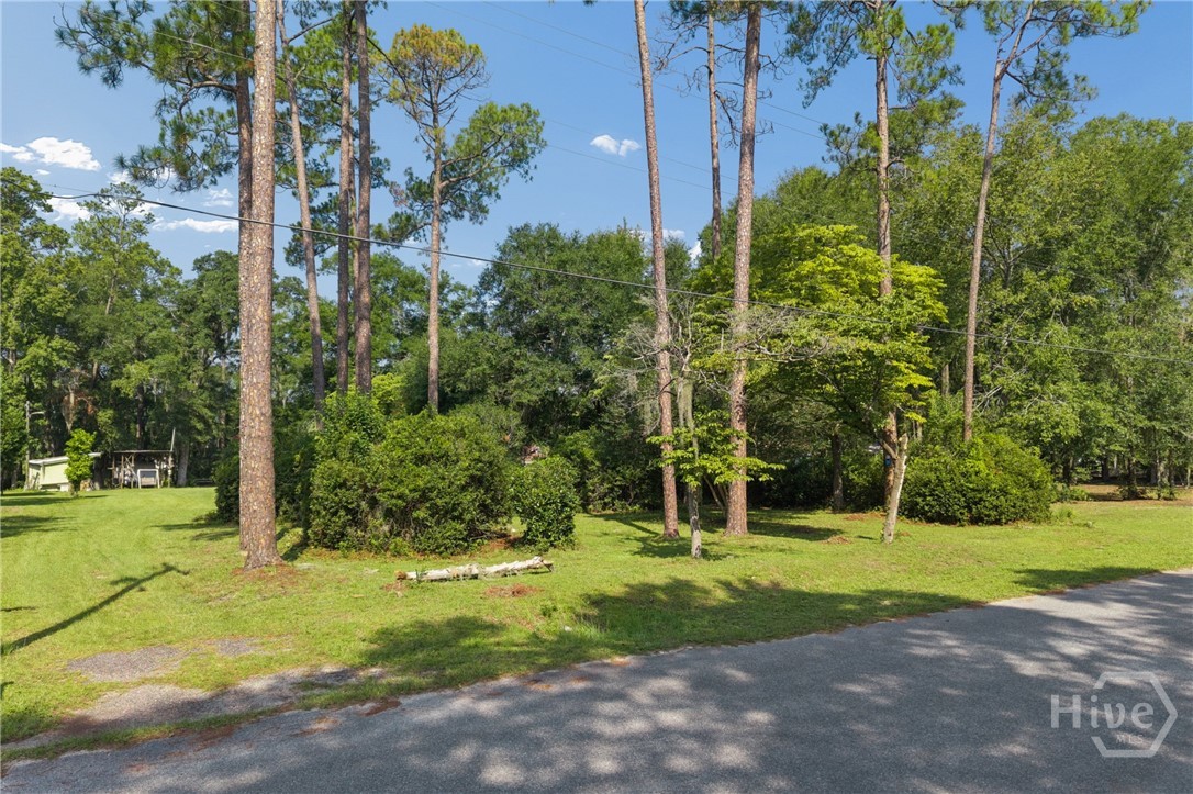 5 Pine Ridge Trail Ellabell, GA 31308 - Photo 15 of 23 Gallery Image 15