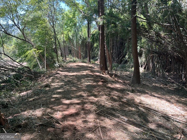 0 Sportsman Club Road Grantville, GA 30220 - Photo 6 of 46 a view of a forest with trees
