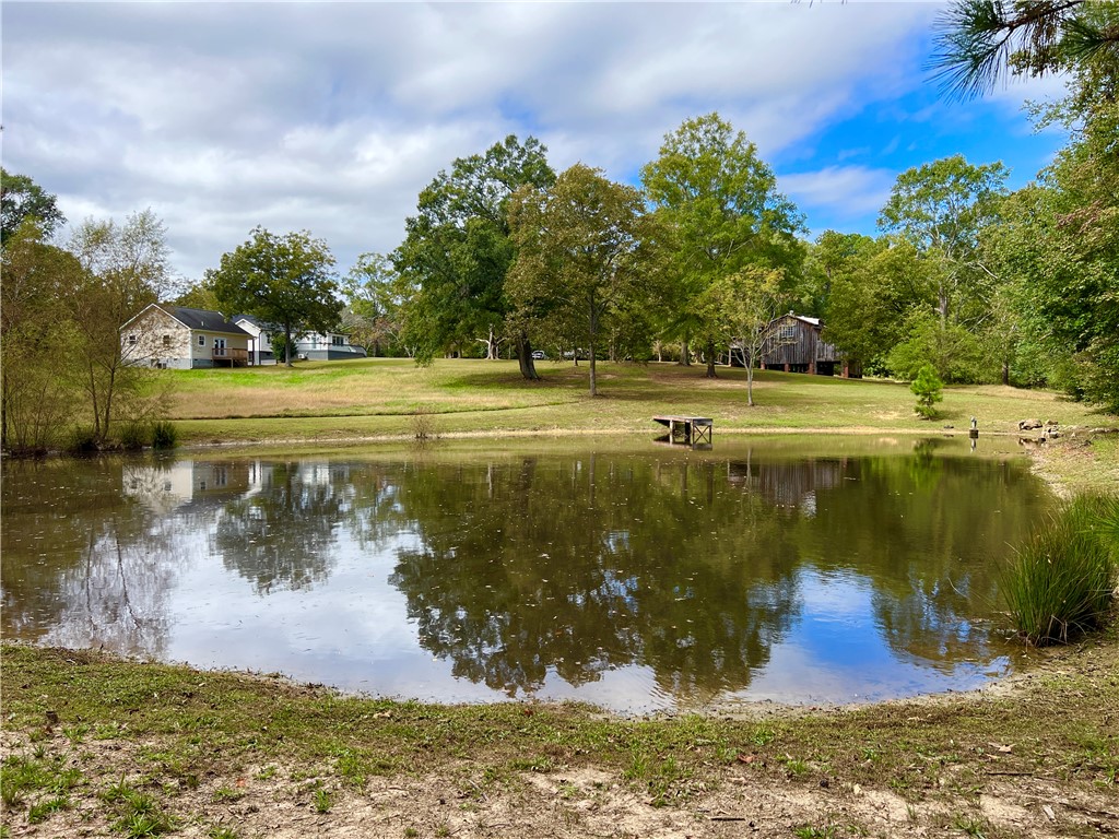 800 Holliday Dam Road Honea Path, SC 29654 - Photo 2 of 50