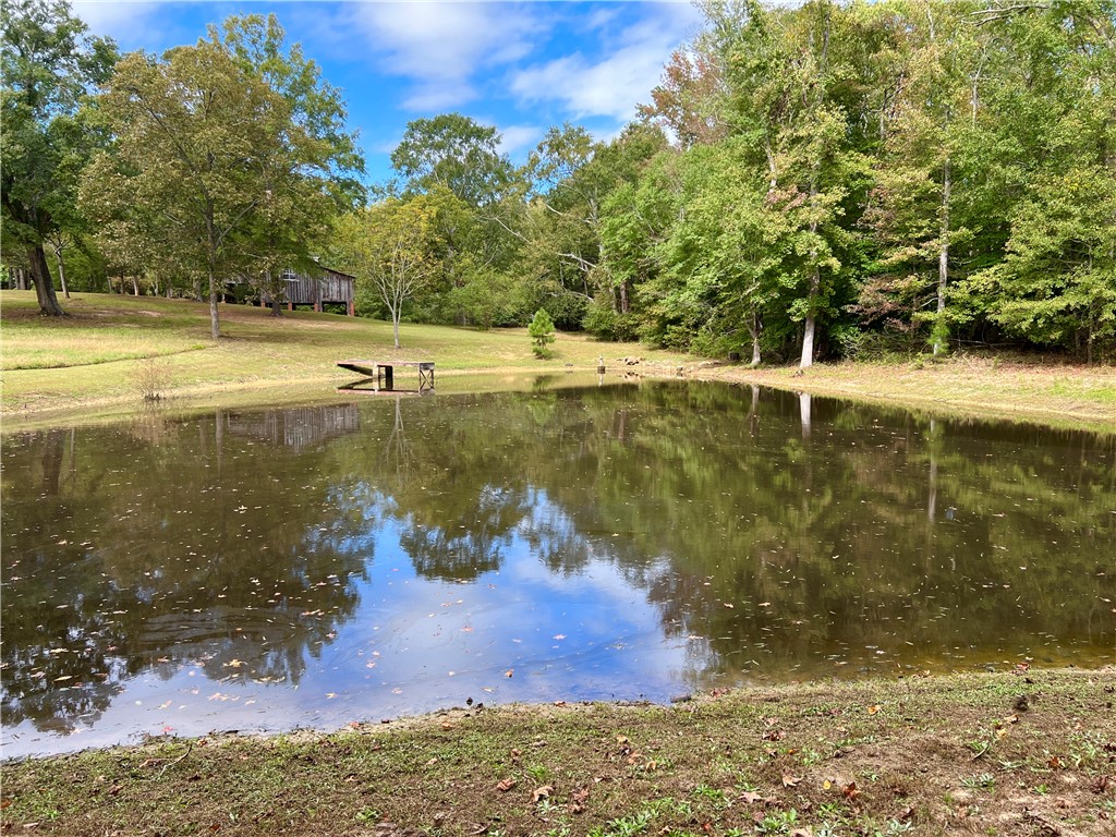 800 Holliday Dam Road Honea Path, SC 29654 - Photo 3 of 50