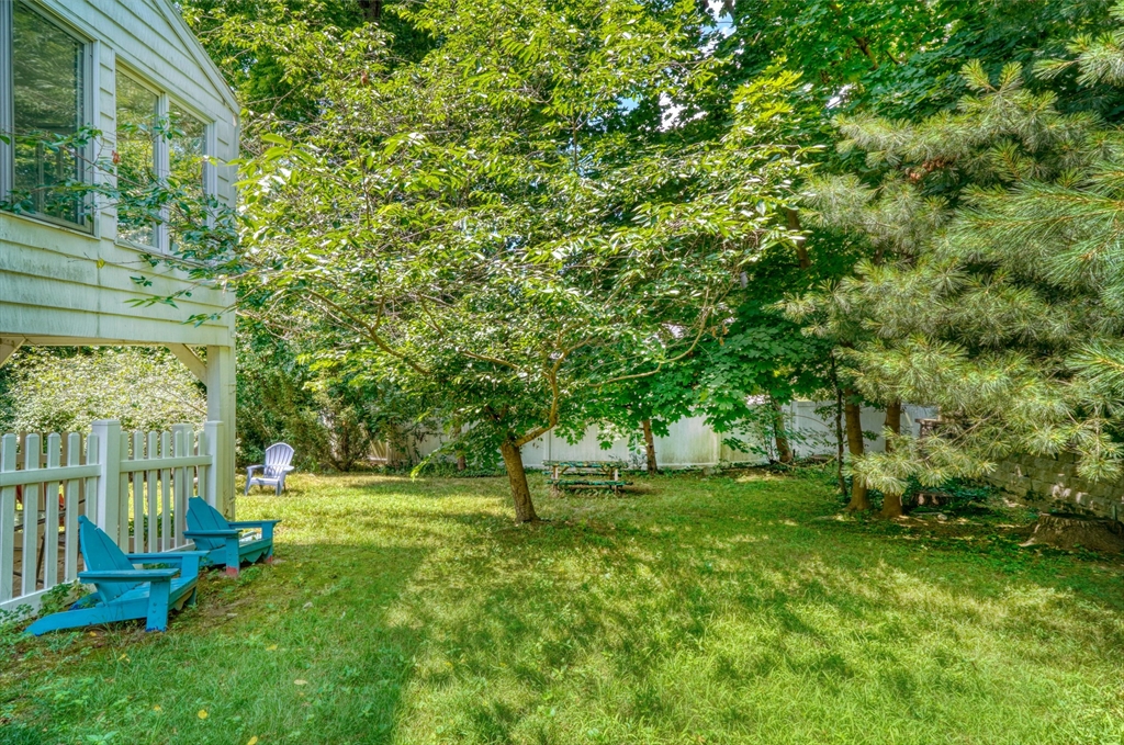 27 Ledyard Road Winchester, MA 01890 - Photo 28 of 38 a view of a park with large trees