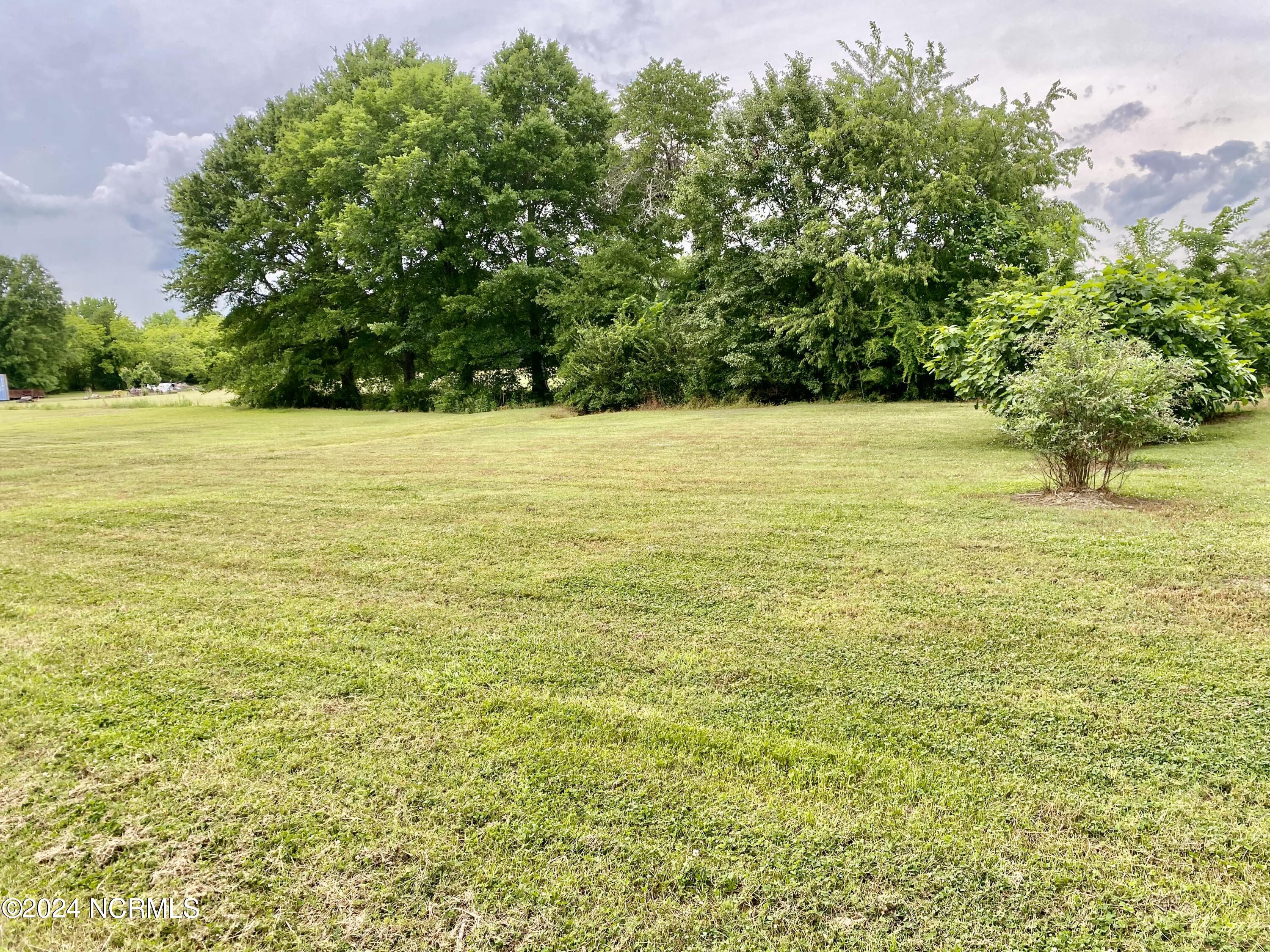 1687 Rams Horn Road Greenville, NC 27834 - Photo 19 of 26 back yard
