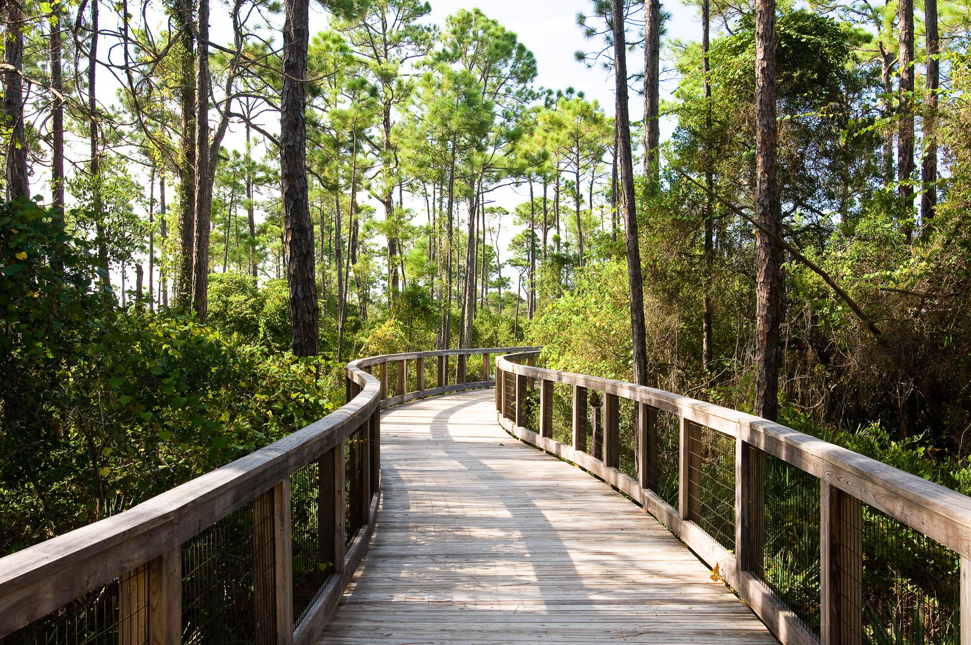 173 Anchor Rode Circle Santa Rosa Beach, FL 32459 - Photo 35 of 35 a view of a wooden balcony and trees
