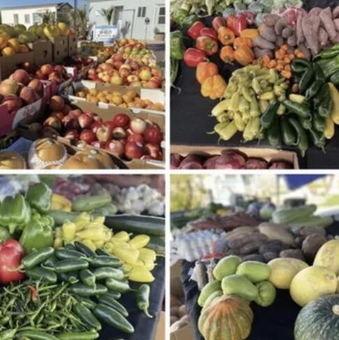 74711 Dillon Road Desert Hot Springs, CA 92241 - Photo 35 of 38 IMG_2595